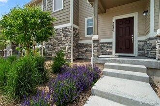 5636 Canyon View Dr in Castle Rock, CO - Building Photo - Building Photo