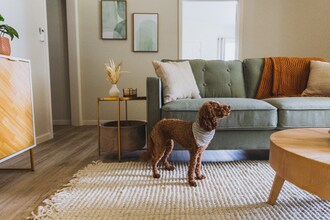 308 Lamont St-Unit -2 in Johnson City, TN - Building Photo - Building Photo