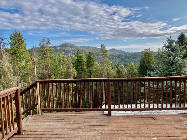 11944 Cochise Cir in Conifer, CO - Building Photo - Building Photo