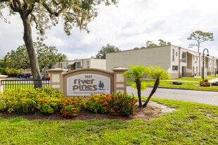 River Pines Senior Apartments 55+ in Tampa, FL - Building Photo