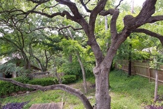 7910 Ceberry Dr in Austin, TX - Building Photo - Building Photo