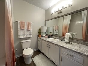 Palmetto Place in Fort Mill, SC - Foto de edificio - Building Photo