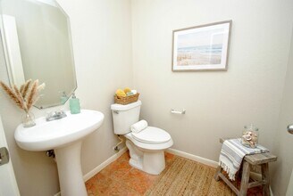 3318 Fountain Hills Dr in Missouri City, TX - Building Photo - Building Photo