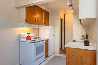 1033 Downing Apartments in Denver, CO - Building Photo - Building Photo