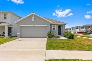 2959 Common Fig Run in Wesley Chapel, FL - Building Photo