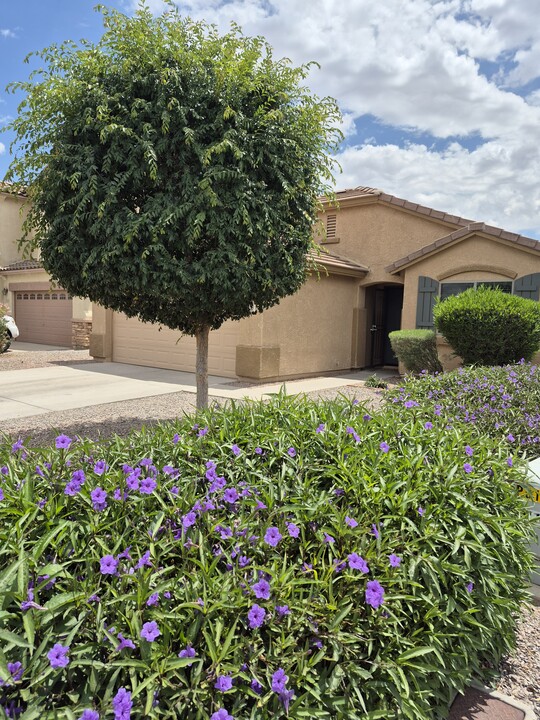1725 W Matthews Dr in Queen Creek, AZ - Building Photo