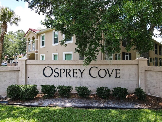 2806 Osprey Cove Pl in Kissimmee, FL - Building Photo - Building Photo