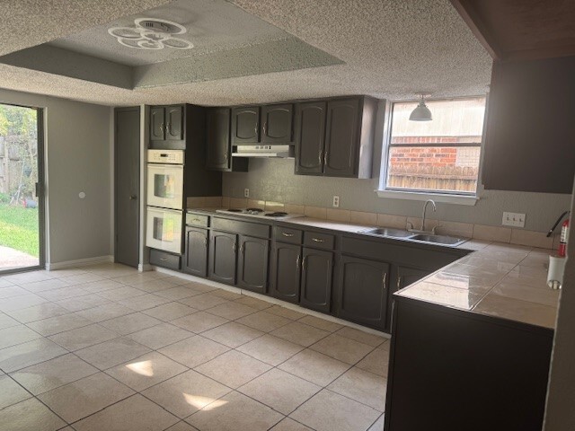 property at 10106 Prairie Mist St