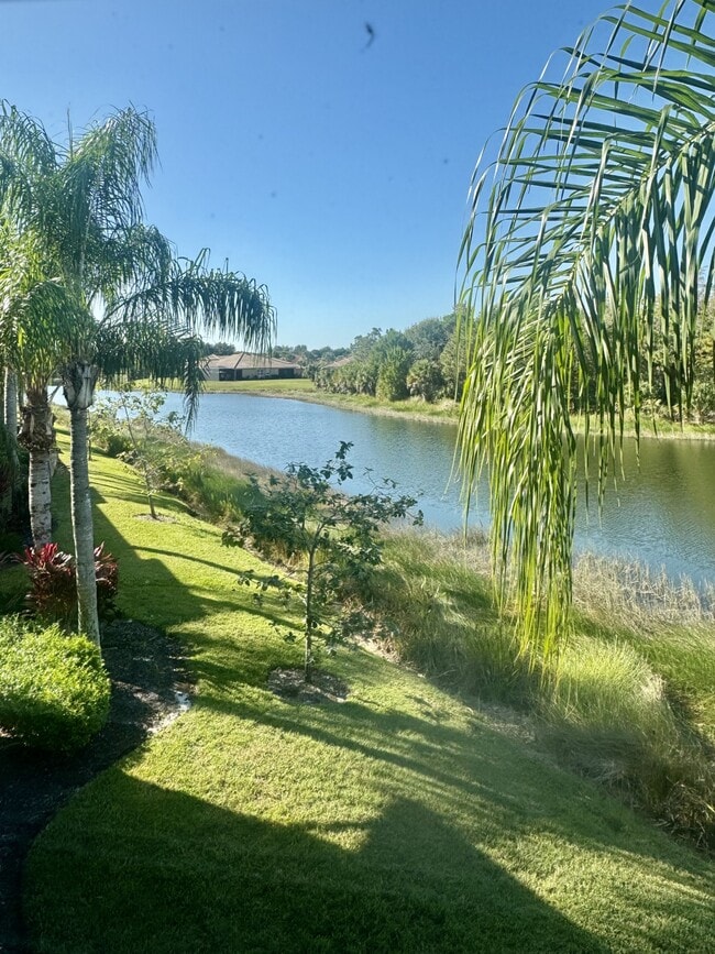 20000 Barletta Ln in Estero, FL - Building Photo - Building Photo