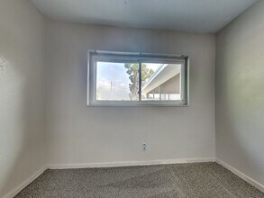 905 Alicia Ave in Tampa, FL - Building Photo - Building Photo