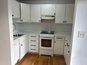 50 Vineland St, Unit 1 in Boston, MA - Building Photo - Building Photo