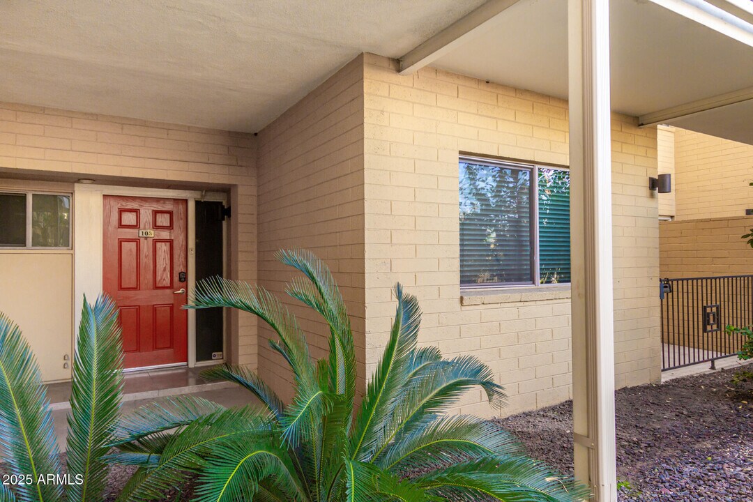 3600 N 5th Ave in Phoenix, AZ - Building Photo