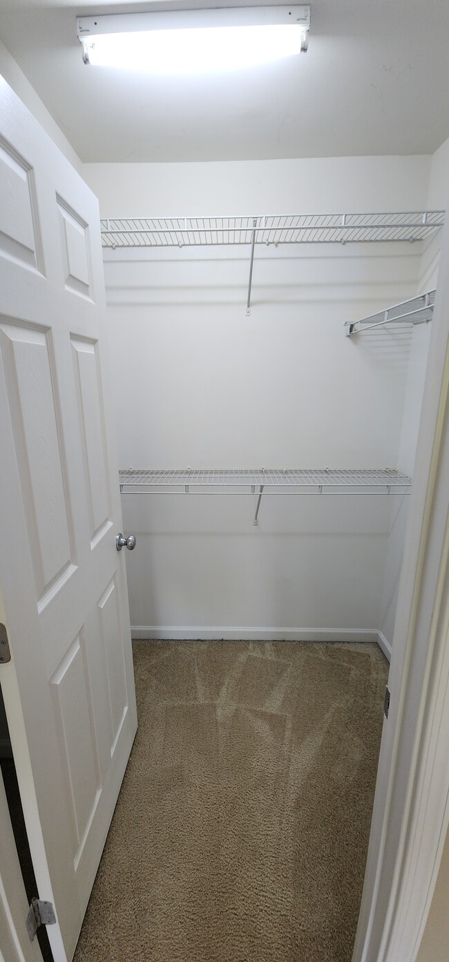 709 Prospect Ln in Fort Mill, SC - Building Photo - Building Photo
