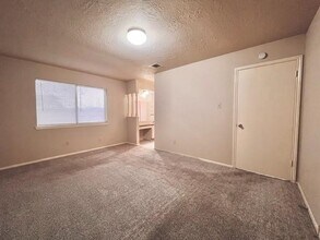 4419 Brandemere Way St in Houston, TX - Building Photo - Building Photo