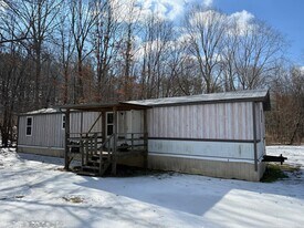 719 Barren Hollow Rd in Hurricane Mills, TN - Building Photo