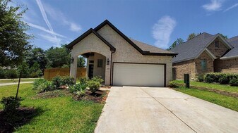 305 Rise Ln in Montgomery, TX - Building Photo