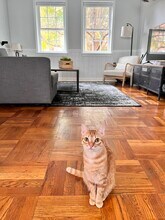 6616 E Wakefield Dr in Alexandria, VA - Building Photo - Building Photo