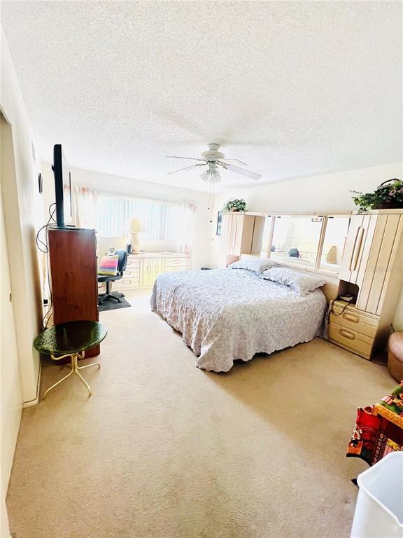 2471 Sumatran Way in Clearwater, FL - Building Photo - Building Photo