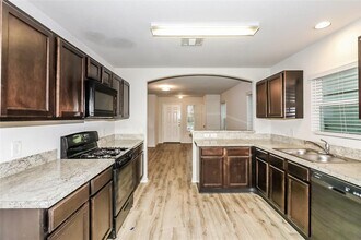 24258 San Marzano Ct in Katy, TX - Building Photo - Building Photo