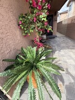 527 W Colden Ave in Los Angeles, CA - Building Photo