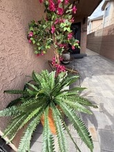 527 W Colden Ave in Los Angeles, CA - Foto de edificio - Building Photo