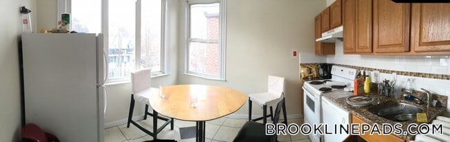 22 Euston St in Brookline, MA - Building Photo - Building Photo