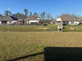 24359 Dawson Ct in Ponchatoula, LA - Building Photo