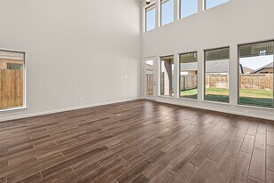 407 Mercury Sky Rd in Richmond, TX - Building Photo