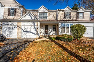 196 Park Ridge Ln in Aurora, IL - Building Photo