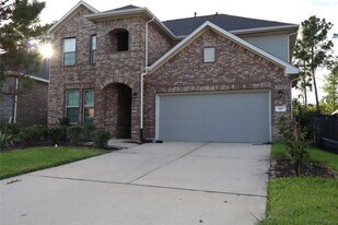 119 Buttonwood Ct in Willis, TX - Building Photo