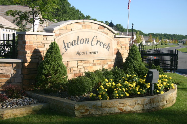 Avalon Creek