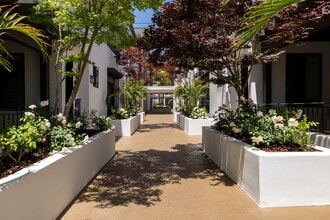 Vista Paradiso in Studio City, CA - Foto de edificio - Building Photo