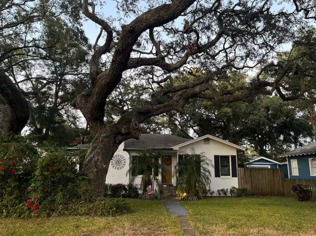 1220 E Mohawk Ave in Tampa, FL - Building Photo - Building Photo