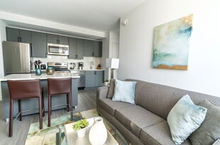 50 Lecount Pl in New Rochelle, NY - Building Photo