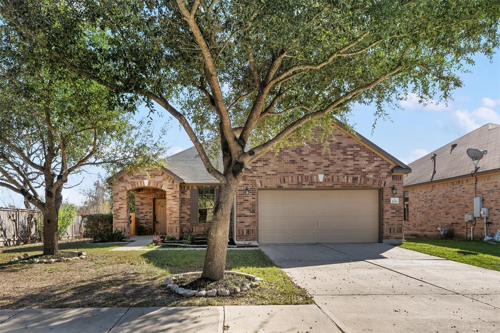 1033 Brighton Pl in Round Rock, TX - Building Photo