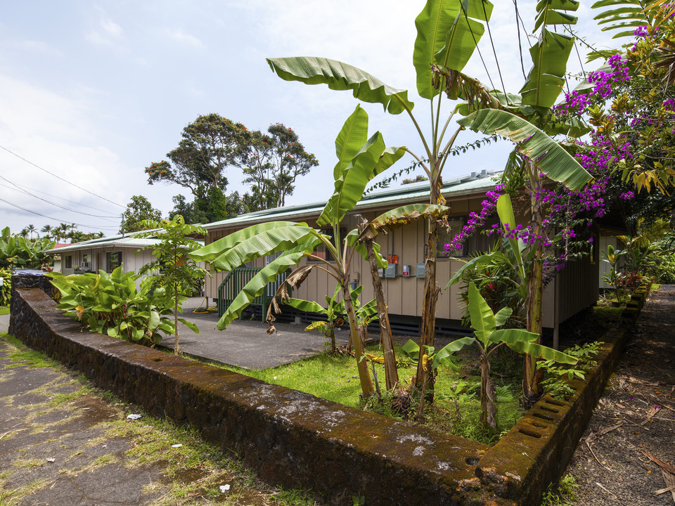 136-140 Wainaku St in Hilo, HI - Building Photo