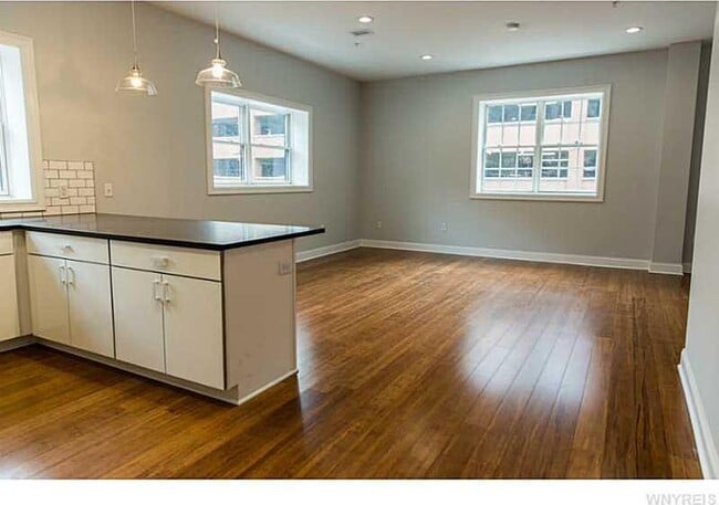 220 Franklin St, Unit 1 in Buffalo, NY - Foto de edificio - Building Photo