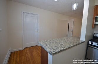 55 Parkman St, Unit 3 in Brookline, MA - Building Photo - Building Photo