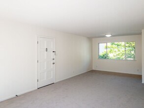 20 Tamalpais Ave in San Anselmo, CA - Building Photo - Building Photo