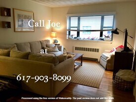 38 Harvard Ave, Unit 2 in Brookline, MA - Building Photo