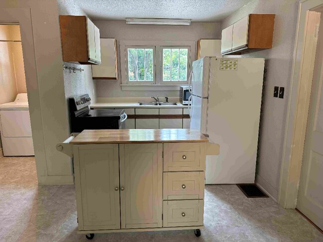 4 1/2 Trotter Pl in Asheville, NC - Building Photo - Building Photo