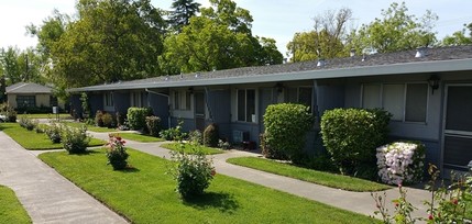 1009 Lochbrae Rd in Sacramento, CA - Building Photo - Building Photo