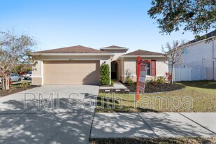 10602 Massimo Dr in Wimauma, FL - Building Photo