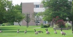 Samaritas Affordable Living of Alpena in Alpena, MI - Foto de edificio - Building Photo