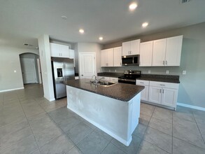 4456 Globe Thistle Dr in Tampa, FL - Building Photo - Building Photo