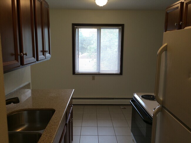 1310 Park St in St. Paul, MN - Building Photo - Building Photo