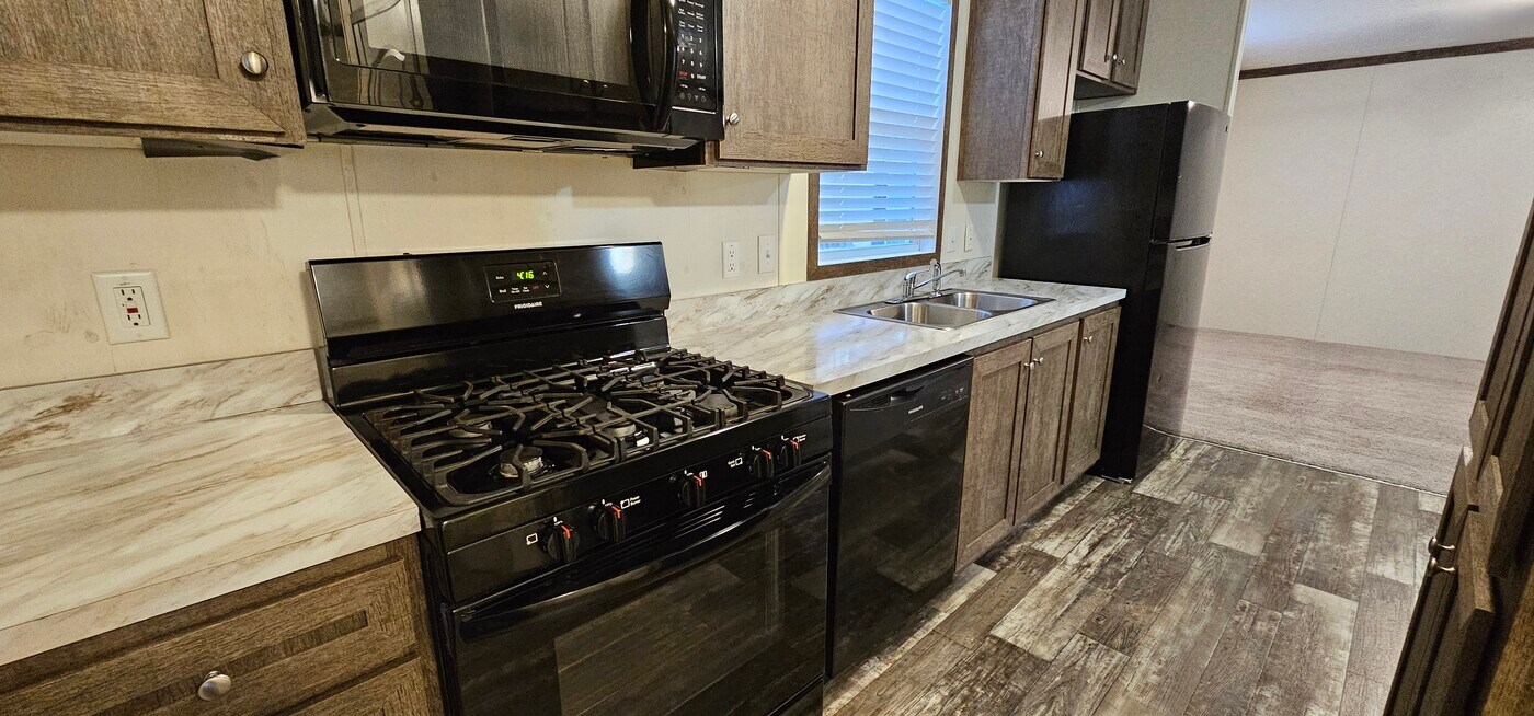 309 Mulberry in Belleville, MI - Building Photo