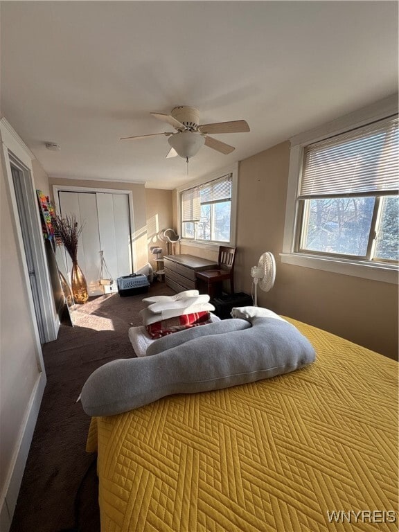 5334 Genesee St in Bowmansville, NY - Building Photo - Building Photo