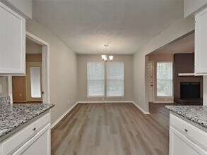 15 S Drifting Leaf Ct in Spring, TX - Building Photo - Building Photo