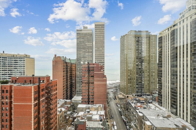 40 E Cedar St in Chicago, IL - Building Photo - Building Photo